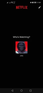 Screenshot_20220522_115909_com.netflix.mediaclient.webp