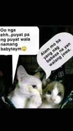 FB_IMG_1653291236656.jpg