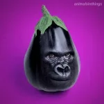 images-8.webp