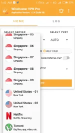 Screenshot_2022-05-21-01-43-00-074_winchester.vpn.ρrø.png