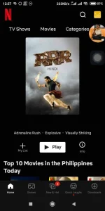 Screenshot_2022-05-25-12-57-01-911_com.netflix.mediaclient.webp