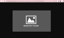 1653566278688.webp