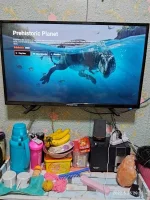 IMG_20220526_201844.webp IMG_20220526_201844.webp