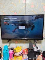 IMG_20220526_201959.webp IMG_20220526_201959.webp
