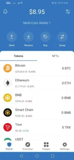 Screenshot_20220527_164331_com.wallet.crypto.trustapp.webp