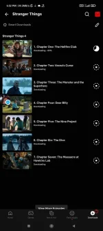 Screenshot_2022-05-27-18-52-29-540_com.netflix.mediaclient.webp