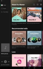 Screenshot_20220528_042342_com.spotify.music.webp