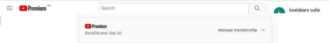 wadadada.webp wadadada.webp