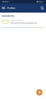 Screenshot_20220601_211019.webp