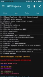 Screenshot_2022-06-02-10-06-17-891_com.evozi.injector.png