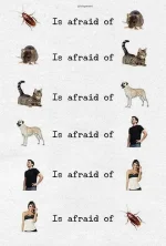 FB_IMG_1653979715221.webp