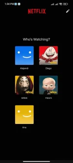 Screenshot_2022-06-04-13-34-19-574_com.netflix.mediaclient.webp