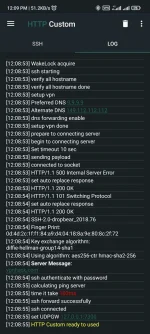 Screenshot_2022-06-05-12-09-17-335_xyz.easypro.httpcustom.webp