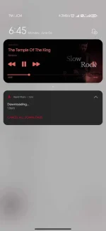Screenshot_2022-06-06-06-45-48-603_com.apple.android.music.webp