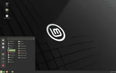 cinnamon.webp cinnamon.webp