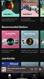 Screenshot_20220608-111322_Spotify.webp