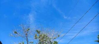 IMG_20220606_100330.webp