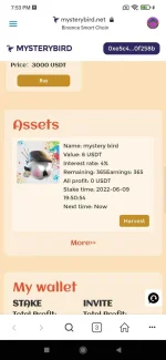 Screenshot_2022-06-09-19-53-36-728_io.metamask.webp