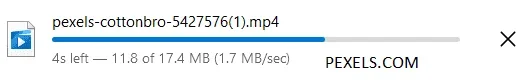 pexels download.webp pexels download.webp