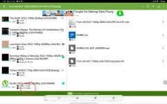 Screenshot_20220611-011621_Torrent.webp