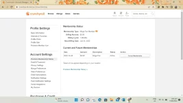 Screenshot (933).webp
