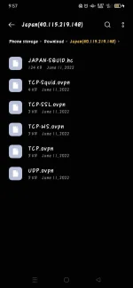 Screenshot_2022-06-11-21-57-56-44_55bef12f624c2b805189a6aa783c400d.webp