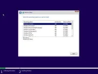 2.webp