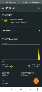 Screenshot_2022-06-16-10-47-55-732_net.openvpn.openvpn.webp