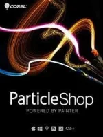 particle.webp particle.webp