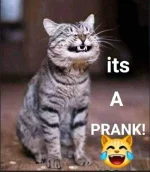 FB_IMG_16554482308846292.webp FB_IMG_16554482308846292.webp