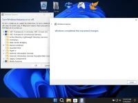 12.webp 12.webp