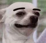1655555990146.webp 1655555990146.webp