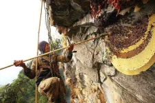 himalayan-700x466.webp himalayan-700x466.webp
