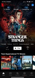 Screenshot_2022-06-20-18-11-19-762_com.netflix.mediaclient.webp
