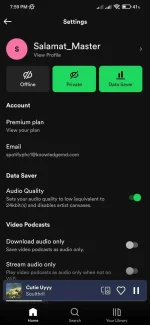 Screenshot_2022-06-20-19-59-26-465_com.spotify.music.webp