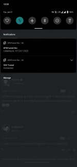 Screenshot_20220621-220826_Kiwi_Browser.webp