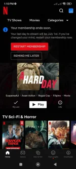 Screenshot_2022-06-22-13-10-42-266_com.netflix.mediaclient.webp