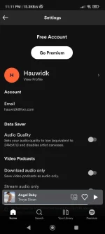 Screenshot_2022-06-24-23-11-44-710_com.spotify.music.webp
