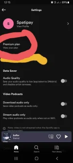 Screenshot_20220626-121555_Spotify.webp