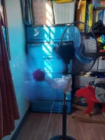 clip fan.webp