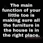IMG_20220628_163655.webp