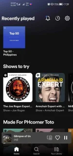 Screenshot_20220630_073913_com.spotify.music.webp