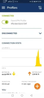 Screenshot_20220630_125537_net.openvpn.openvpn.webp
