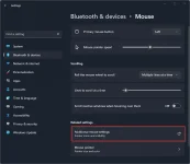 Settings-Additional-mouse-settings.png