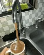 1656666925346.webp