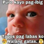 FB_IMG_1656032562693.webp