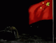 chow.gif chow.gif