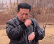 pigsy.gif pigsy.gif