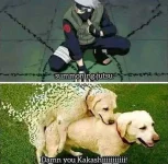kakashi.webp