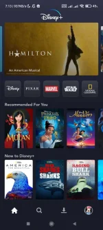 Screenshot_2022-07-05-07-13-00-656_com.disney.disneyplus.webp